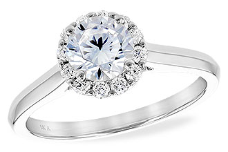 C230-82500: LDS SEMI DIA RG .19 TW